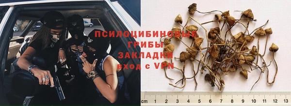 MESCALINE Абаза