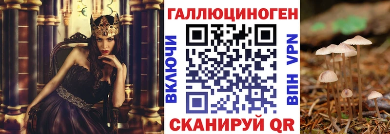 Галлюциногенные грибы Psilocybine cubensis  Элиста 